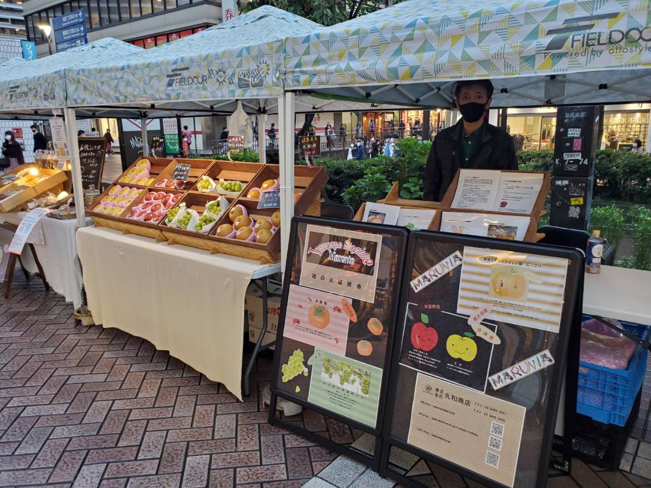 横浜マルシェに初出店！ | 東京・大田市場の青果卸「丸和商店」の最新情報はこちら