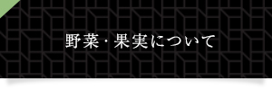 野菜・果実についてへ